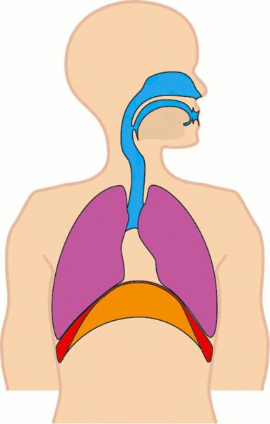 diaphragmatic breathing