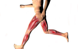sensory motor amnesia