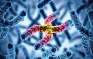 Telomere Effect