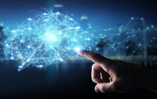 Brain pain processing chronic pain