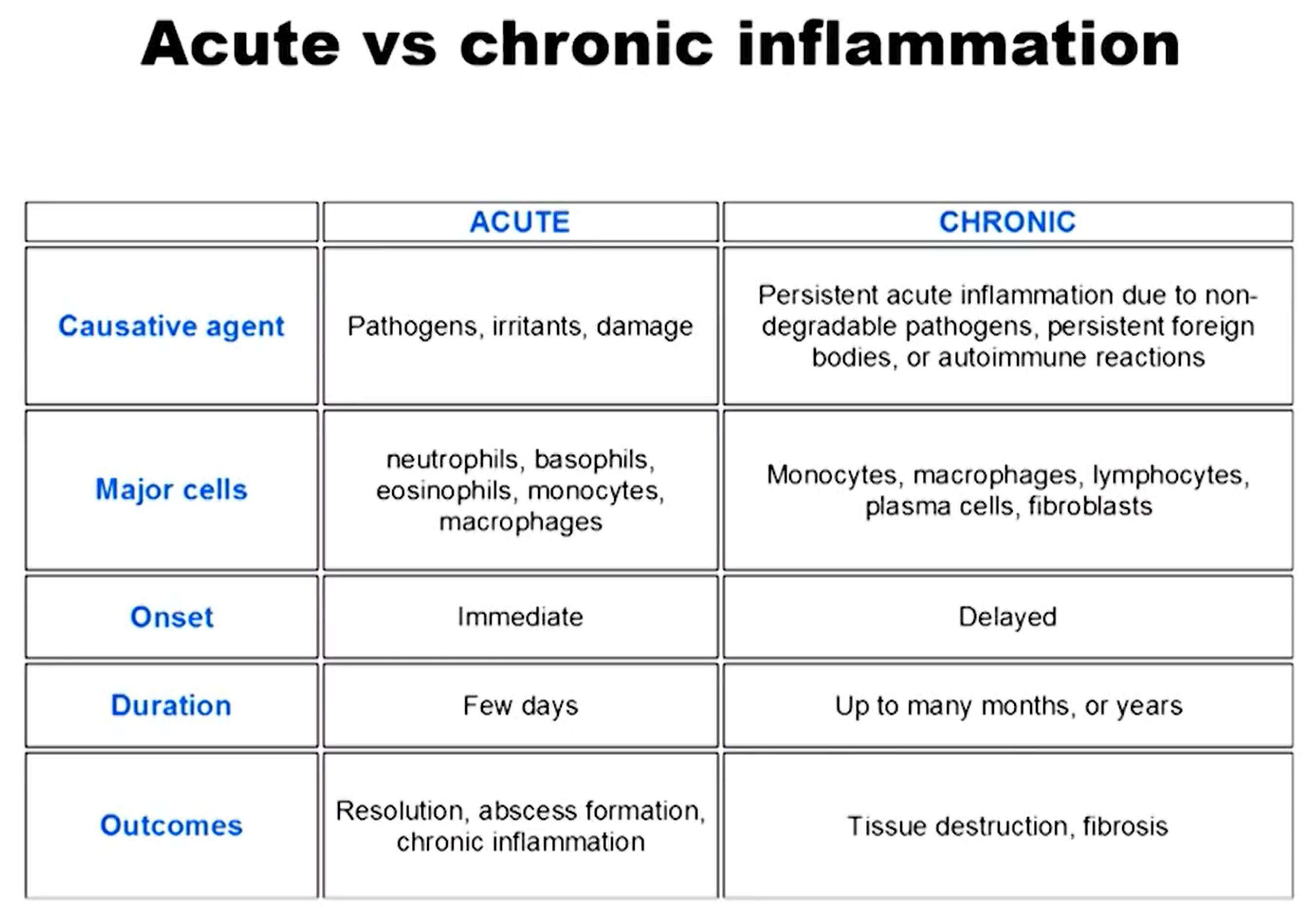 Acute vs Chronic Inflammation