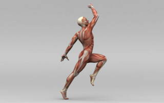Fascia, movement, and pain