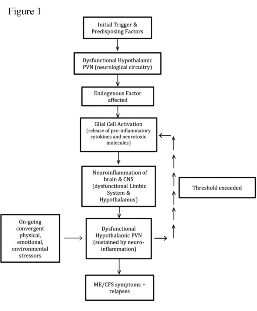 ME CFS Figure 1
