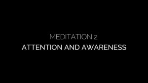 Mediation 2 Attention and Awareness